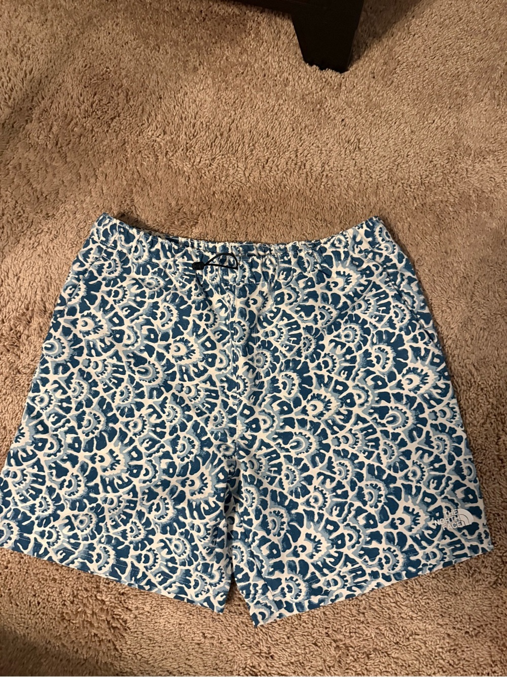 The North Face Blue and White Men's Hybrid Shorts